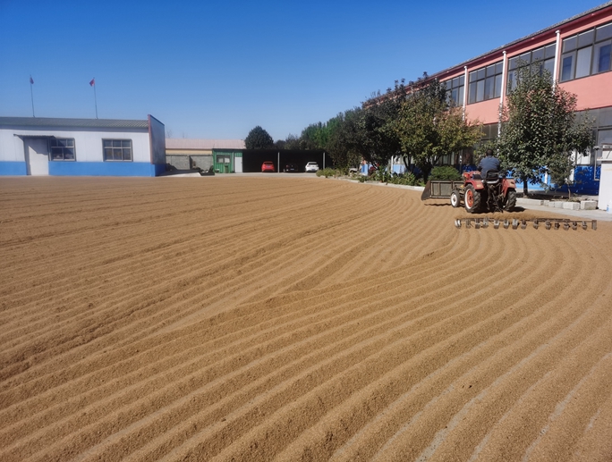 晾曬場(chǎng)地